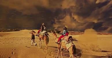 4K沙尘暴沙漠骆驼风沙背景视频的预览图